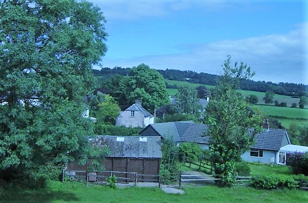 South of Trump Terret